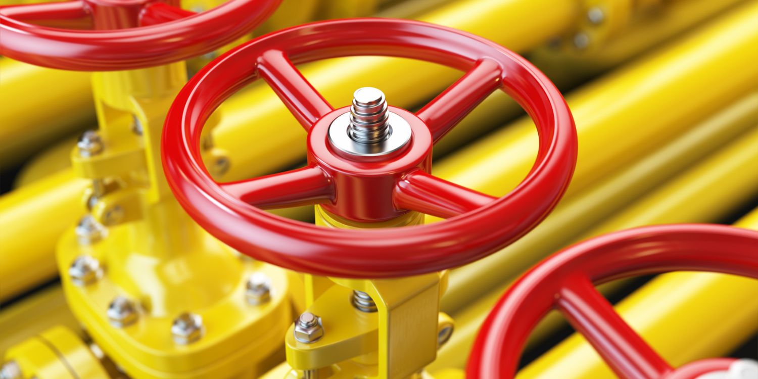 Parts in Oil & Gas Valve Applications Kalrez® and Vespel® DuPont USA