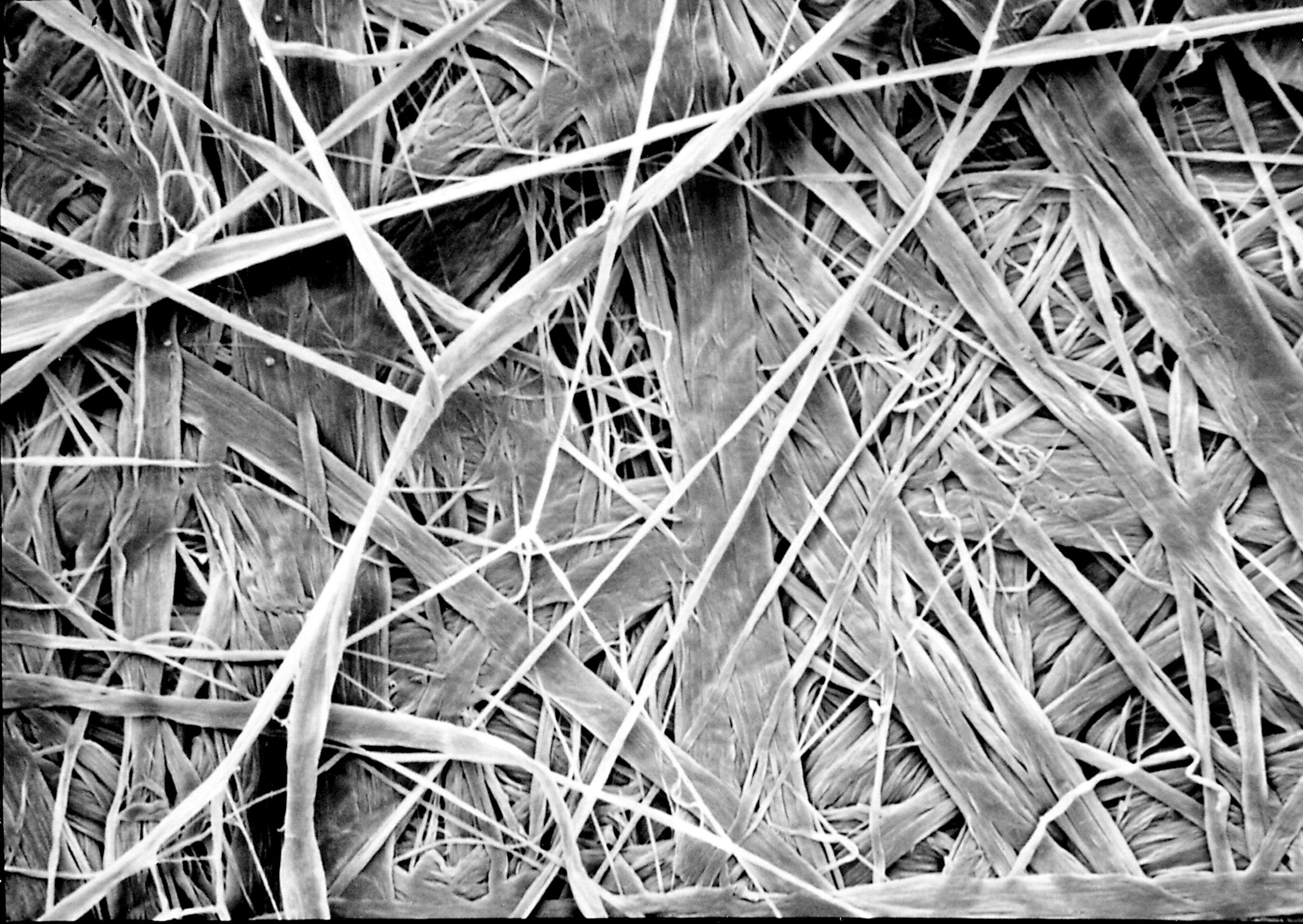 Tyvek® Structure DuPont USA