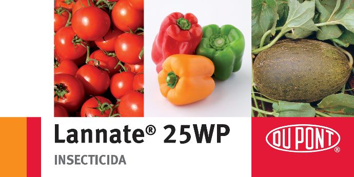 Lannate25WP LMRs