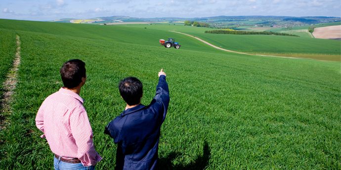 Utiliza&ccedil;&atilde;o Segura de Produtos Fitofarmac&ecirc;uticos