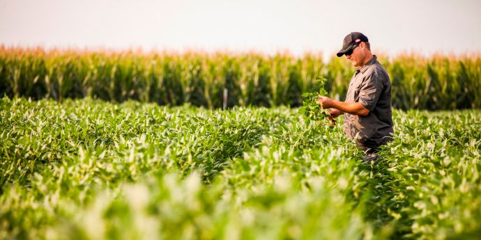 [Image: cp_UA-7_seedtoharvest_northeast_article_...l-Width-D$]