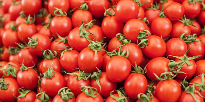 Titus_Herbicida_Thumb