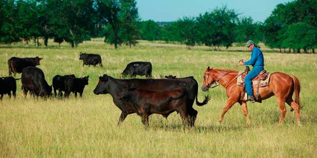 Better Pasture Management | DuPont USA