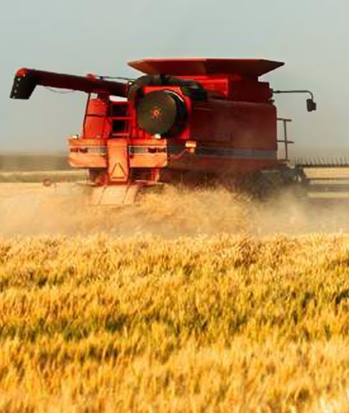 global-nav-agriculture-492x582